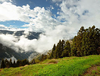 觀雲休憩農場遠山美景