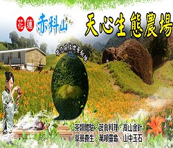 ����s�ѤߥͺA�A��